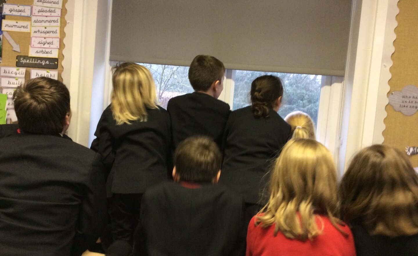 Image of This is 'snow' interruption! 